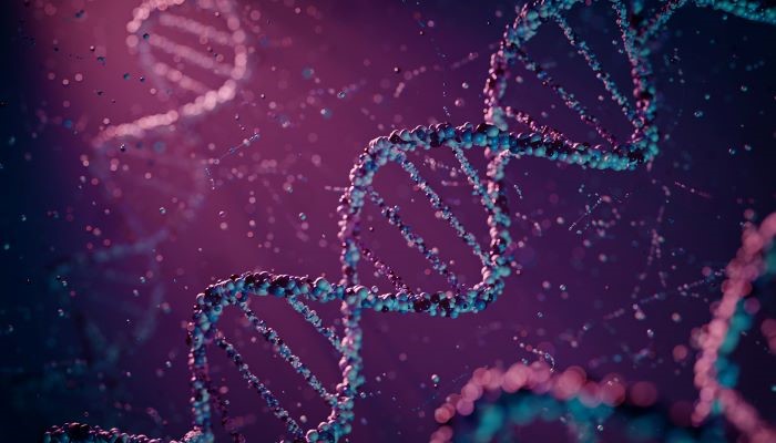 DNA strans